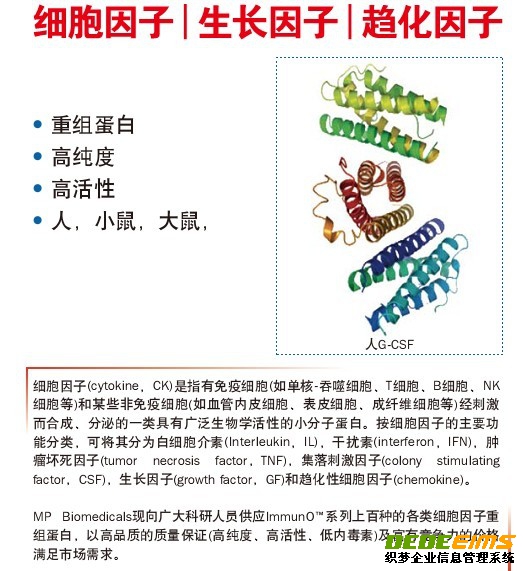 美國MPBIO公司提供重組蛋白、高純度、高活性及低內(nèi)毒素的“細(xì)胞因子”