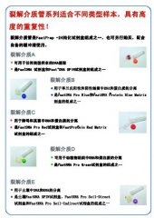 FastPrep?系統(tǒng)中的關鍵組成之一--裂解細胞用的研磨粉
