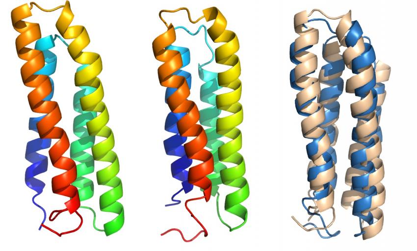 PNAS:細胞膜蛋白質(zhì)放棄自己的秘密 