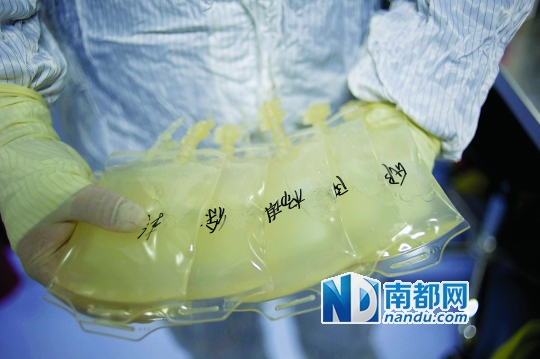 <p>    經(jīng)過培養(yǎng)的細(xì)胞液最終要回輸?shù)交颊唧w內(nèi)。</p>