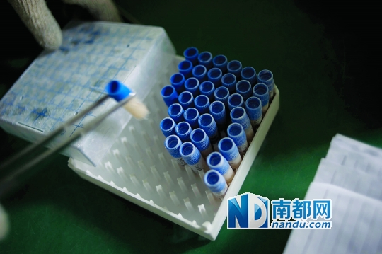 <p>    當(dāng)患者實(shí)施治療時(shí)，會(huì)提前14天通知實(shí)驗(yàn)室，實(shí)驗(yàn)員取出液氮罐里儲(chǔ)存的免疫細(xì)胞樣本進(jìn)行培養(yǎng)。</p>